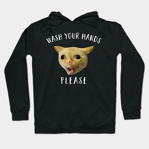 Wash Your Hands Cats Hoodie by CreativeShirt